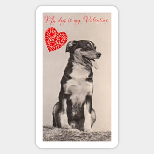 My Dog is my Valentine Sticker